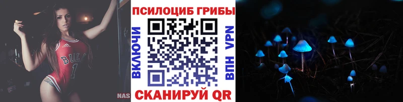 Галлюциногенные грибы Psilocybe  Болохово 