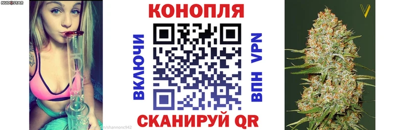 цены наркотик  Болохово  Бошки Шишки сатива 